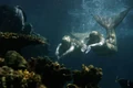 Emma & Rikki Swimming