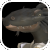 Dromie.png (4 KB) Dromie