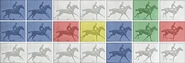 Google Eadweard J Muybridge 182nd