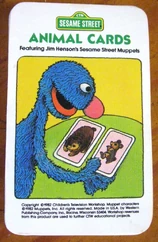 1982 animal cards