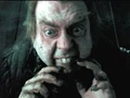 Peter pettigrew.jpg