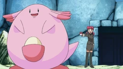 Nurse Joy Chansey