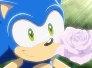 133sonic