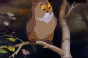 Bambi 304