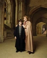 PromoHP2 Harry Potter Gilderoy Lockhart 3.jpg