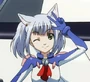 251555-an chaika large