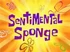 Sentimental Sponge