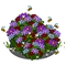 Bee Bush-icon