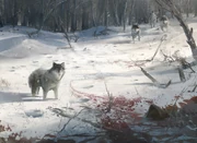 AC3 Wolves