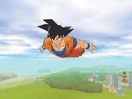Dbz6
