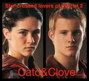 Cato and clove