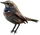 HO IShip Bird-icon