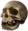 HO IShip Skull-icon