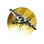 B17 (Civ5)