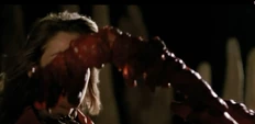 Faceburster 2