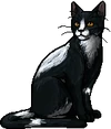 Tallstar.warrior