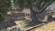 Tree Sanctuary MW3