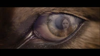 Jacob & Renesmee