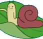 Snail