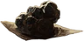 Bézoard.png