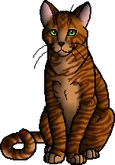 Buzzardstar.leader.png