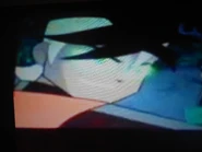 91