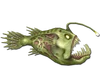 Fish 1