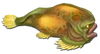 Fish 3