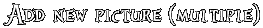 Addmultiple.gif