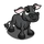 Lowline Calf