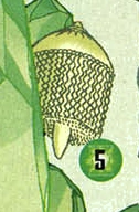Green Lantern
