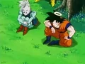 Dbz245(for dbzf.ten.lt) 20120418-17243751