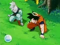 Dbz245(for dbzf.ten.lt) 20120418-17244070