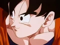 Dbz245(for dbzf.ten.lt) 20120418-17361170