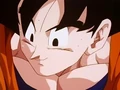 Dbz245(for dbzf.ten.lt) 20120418-17361310