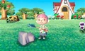 Animal 3DS.jpg