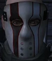 Sunset vodoo mask.jpg