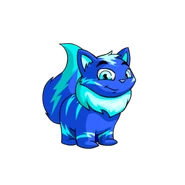 Electric Wocky