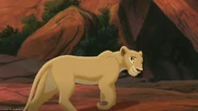 Lion2-disneyscreencaps.com-641
