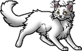Whitestorm.apprentice