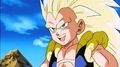 MajinBuuTransforms1