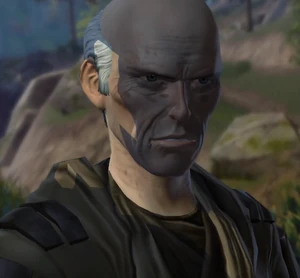 Silvarte