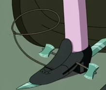 Fine Lady's shoe