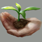 Inx Soil