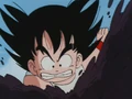 GokuDiggig