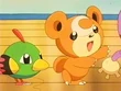 EP230 Natu y Teddiursa