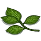 Leaves-icon