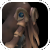 HipacaMini.png (5 KB) HipacaMini
