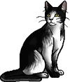 Patchpelt.warrior