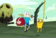 Finn with head